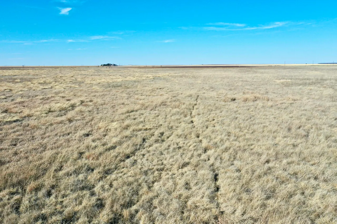 Photo 14 — Co Rd 72, Lockney, TX 79241