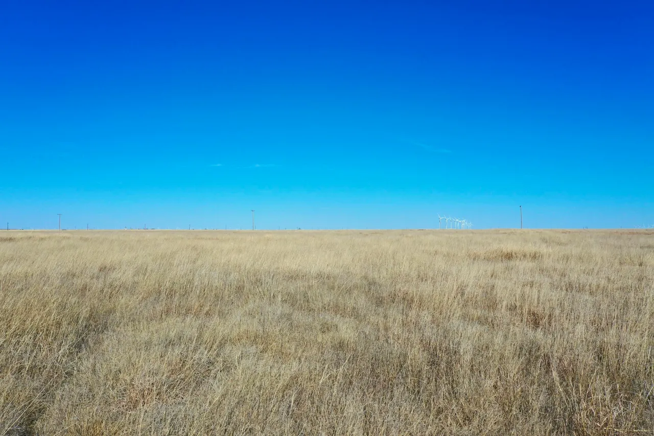 Photo 15 — Co Rd 72, Lockney, TX 79241