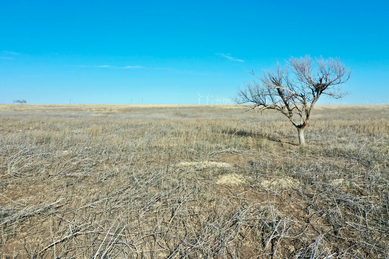 Photo 16 — Co Rd 72, Lockney, TX 79241