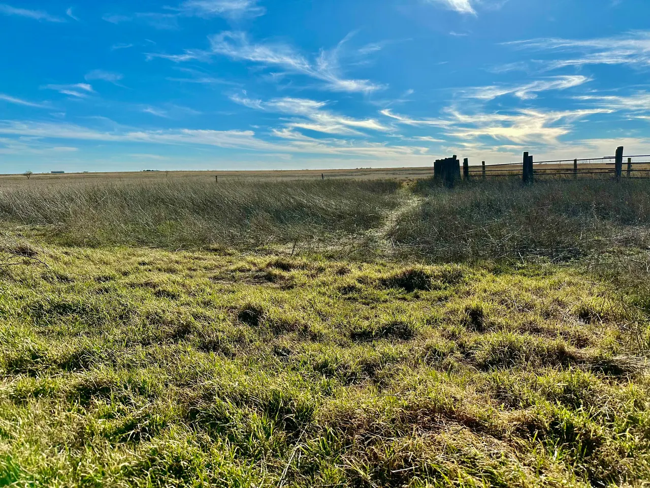 Photo 20 — Co Rd 72, Lockney, TX 79241