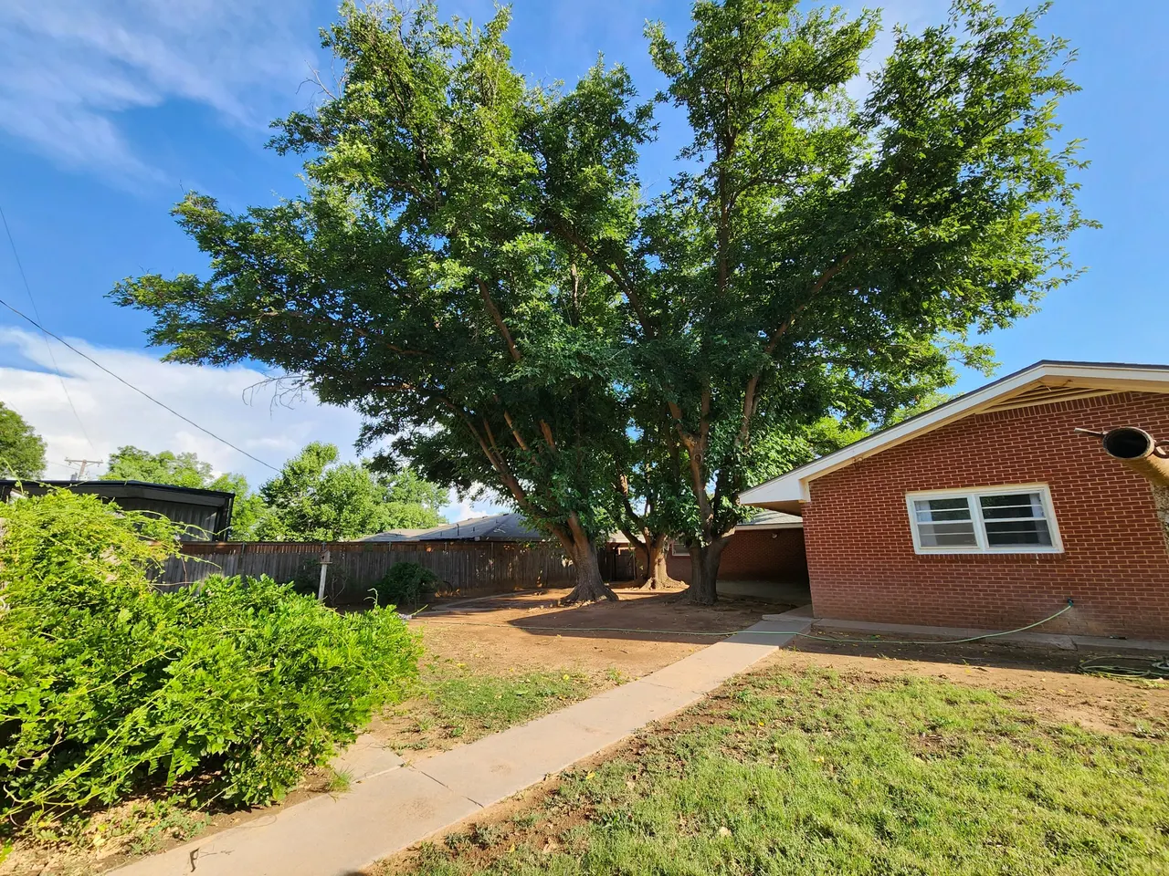 Photo 30 — 113 E 23rd Street, Littlefield, TX 79339