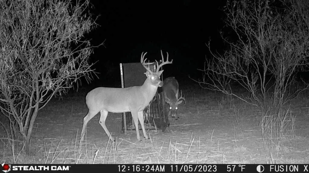 Photo 3 — TX-86, Turkey, TX 79261