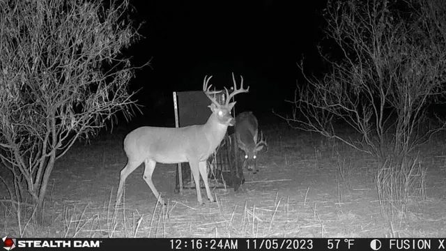 Photo 3 — TX-86, Turkey, TX 79261