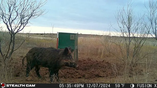 Photo 5 — TX-86, Turkey, TX 79261