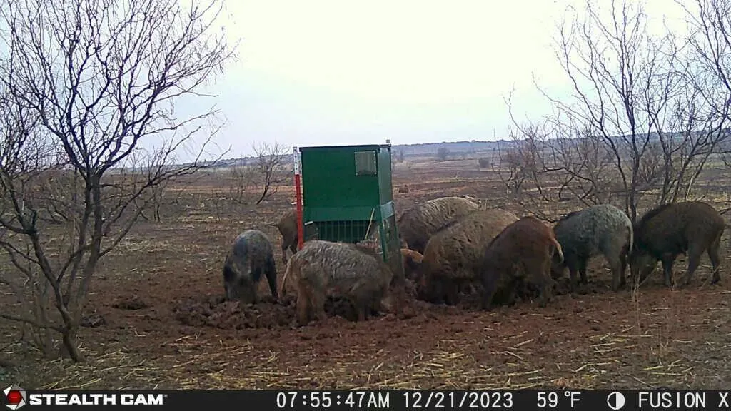 Photo 12 — TX-86, Turkey, TX 79261