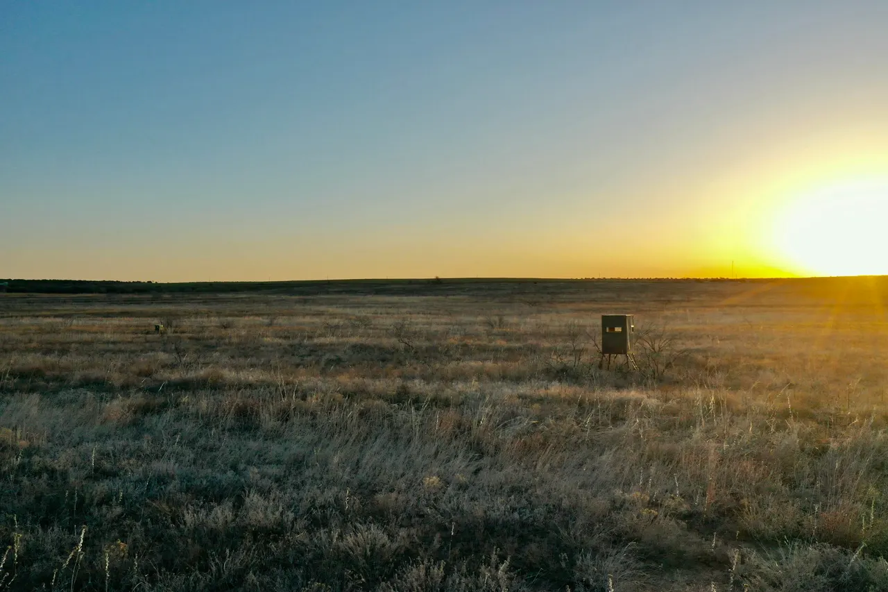 Photo 6 — TX-86, Turkey, TX 79261