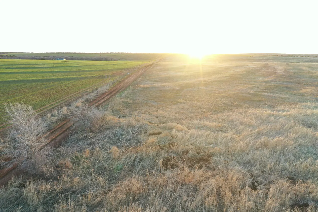 Photo 9 — TX-86, Turkey, TX 79261