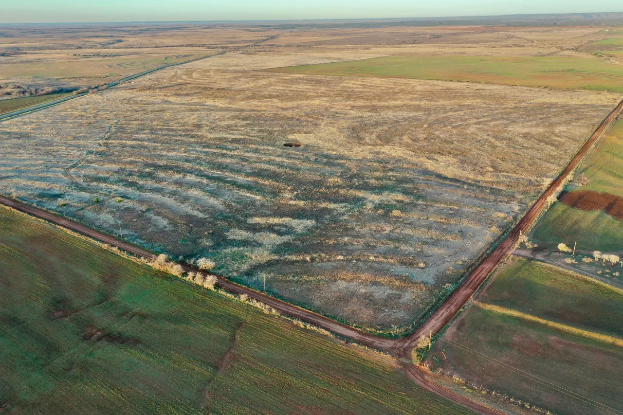 Photo 15 — TX-86, Turkey, TX 79261