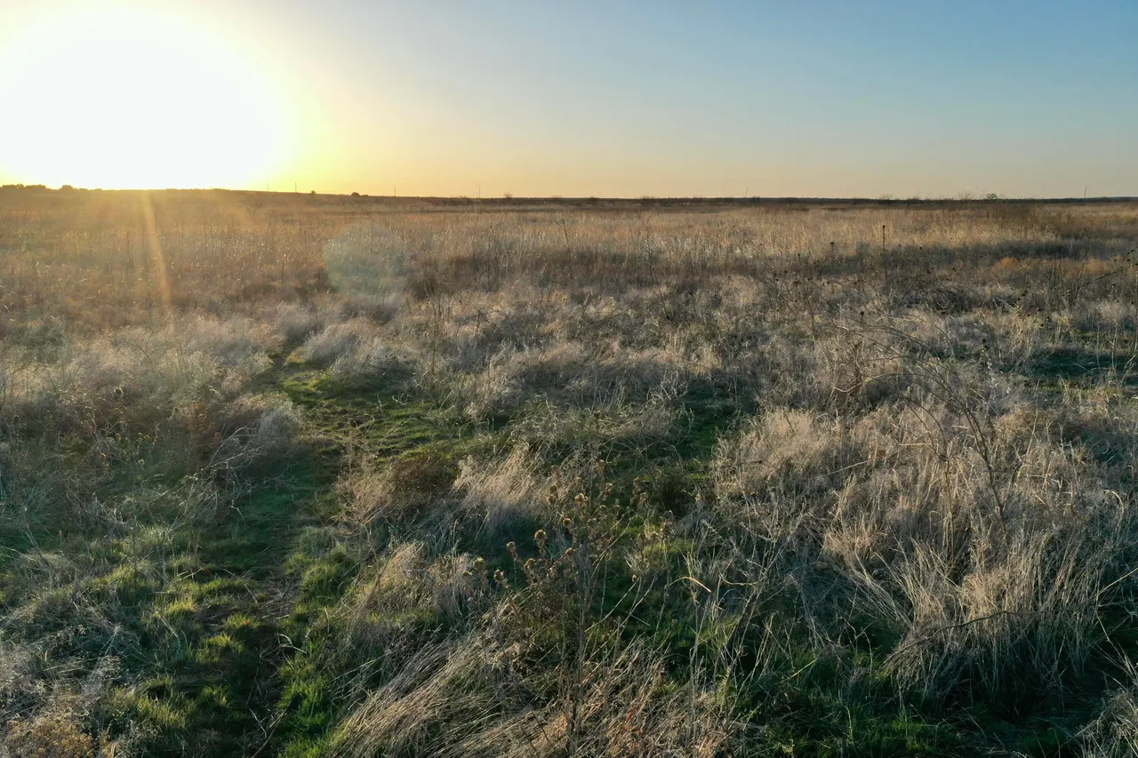 Photo 18 — TX-86, Turkey, TX 79261