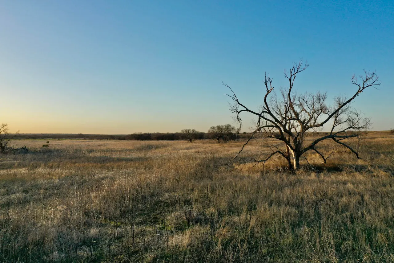 Photo 19 — TX-86, Turkey, TX 79261