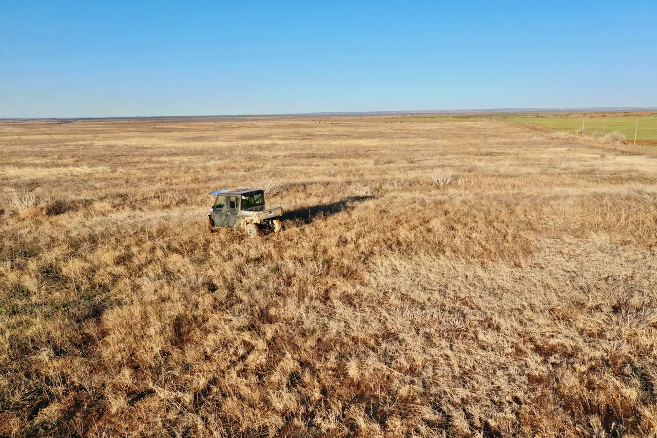 Photo 22 — TX-86, Turkey, TX 79261