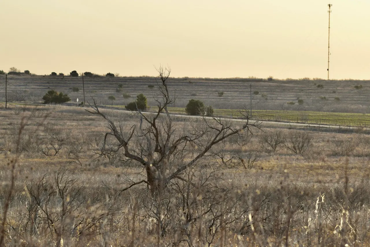Photo 23 — TX-86, Turkey, TX 79261