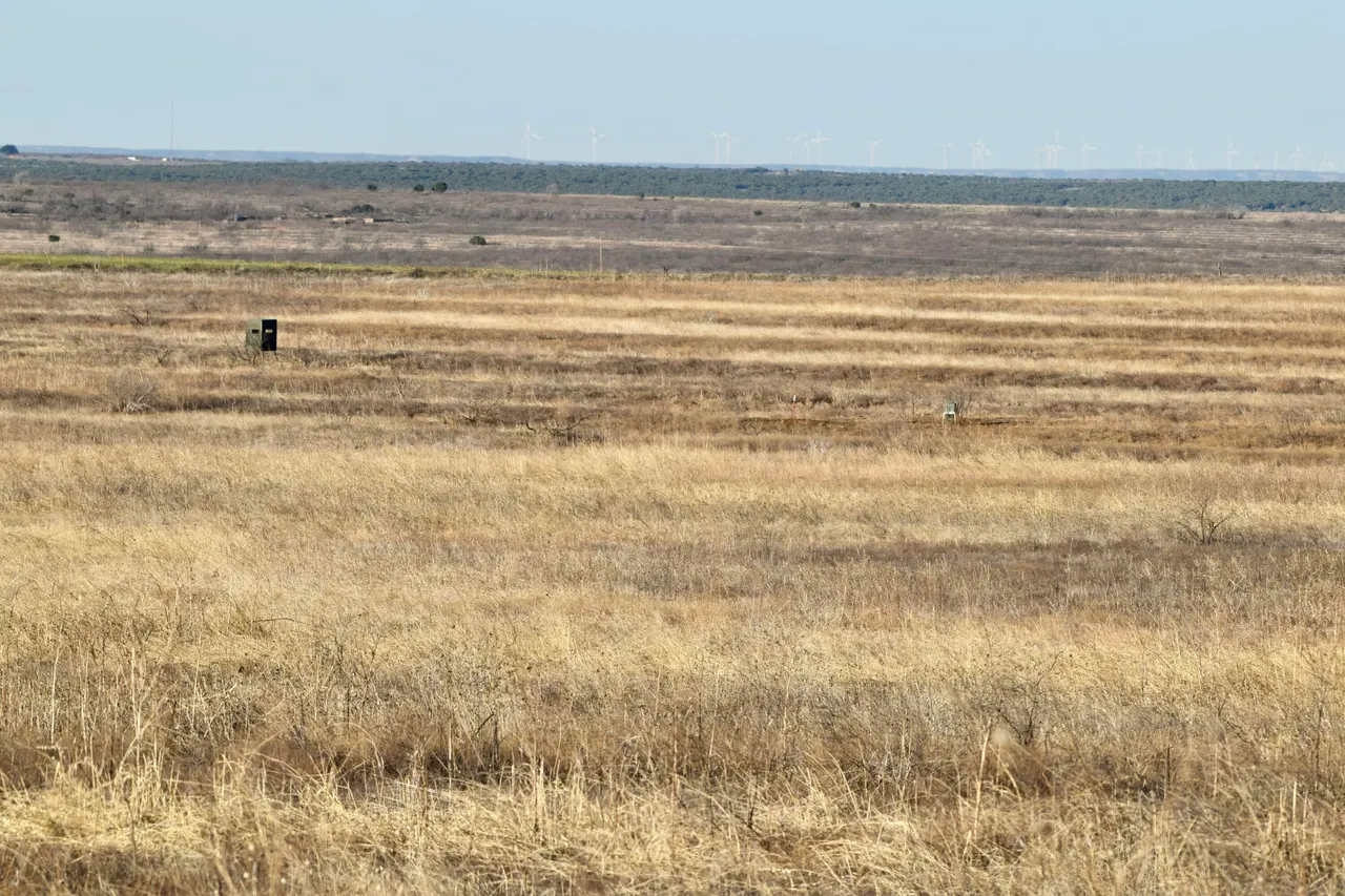 Photo 25 — TX-86, Turkey, TX 79261