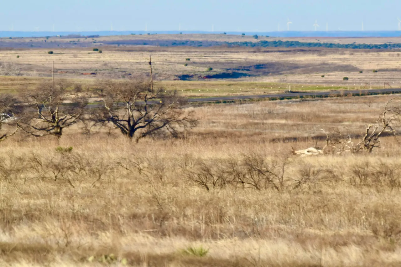 Photo 26 — TX-86, Turkey, TX 79261