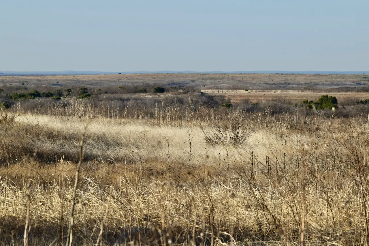 Photo 27 — TX-86, Turkey, TX 79261