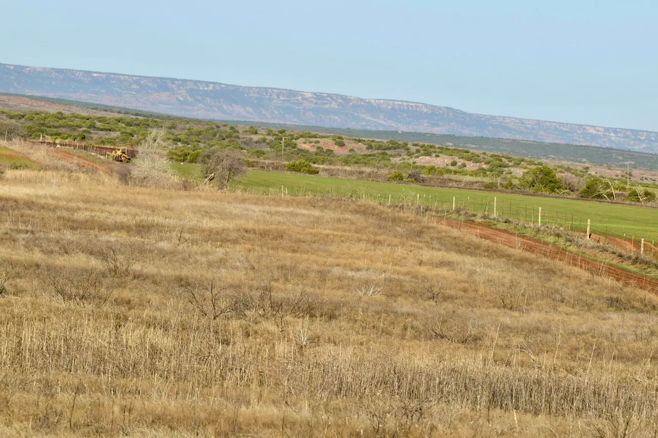 Photo 28 — TX-86, Turkey, TX 79261