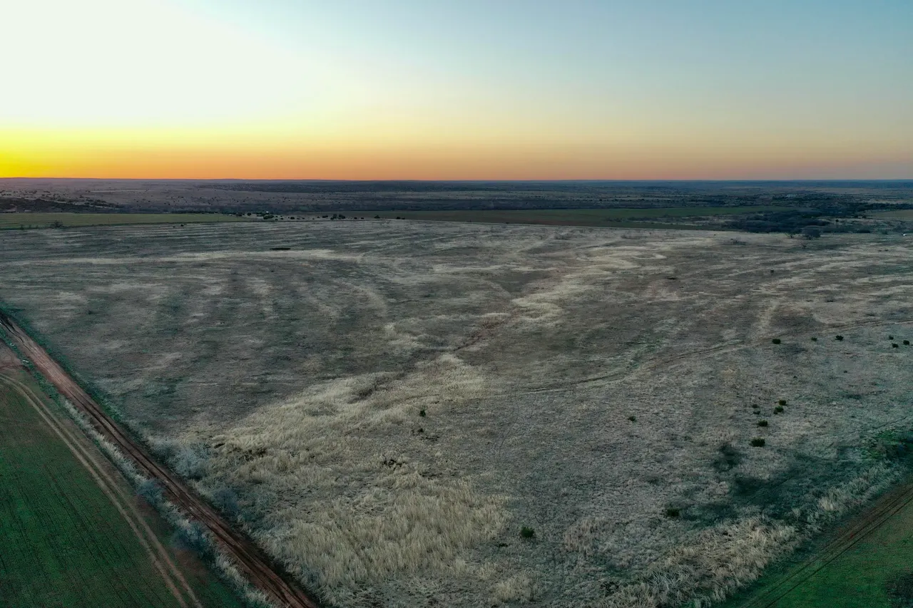 Photo 29 — TX-86, Turkey, TX 79261