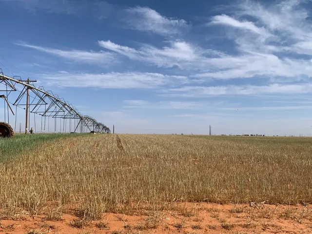 Photo 2 — 0 Tiger, Ropesville, TX 79358