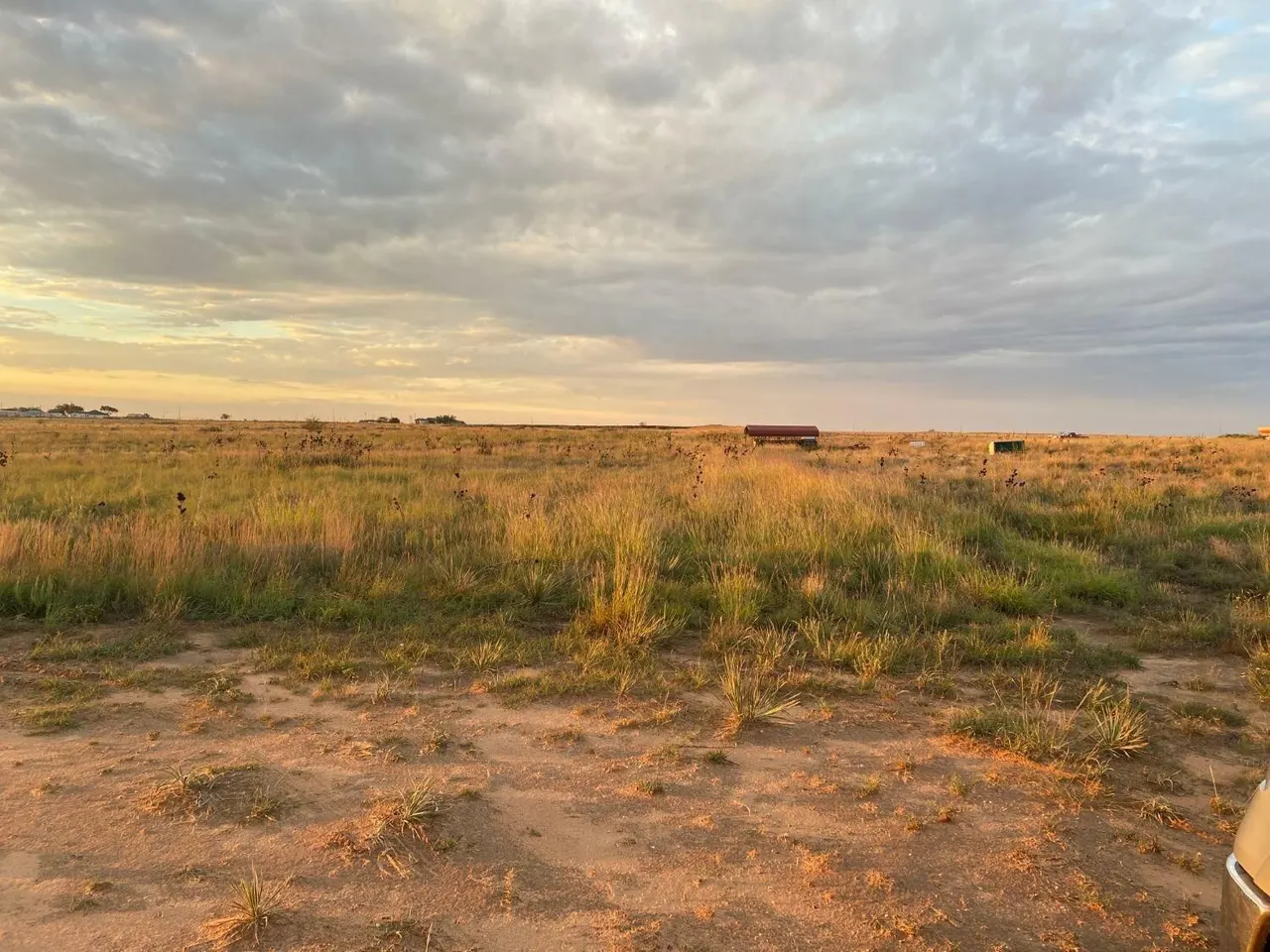 Photo 3 — E Ellis Street, Smyer, TX 79367