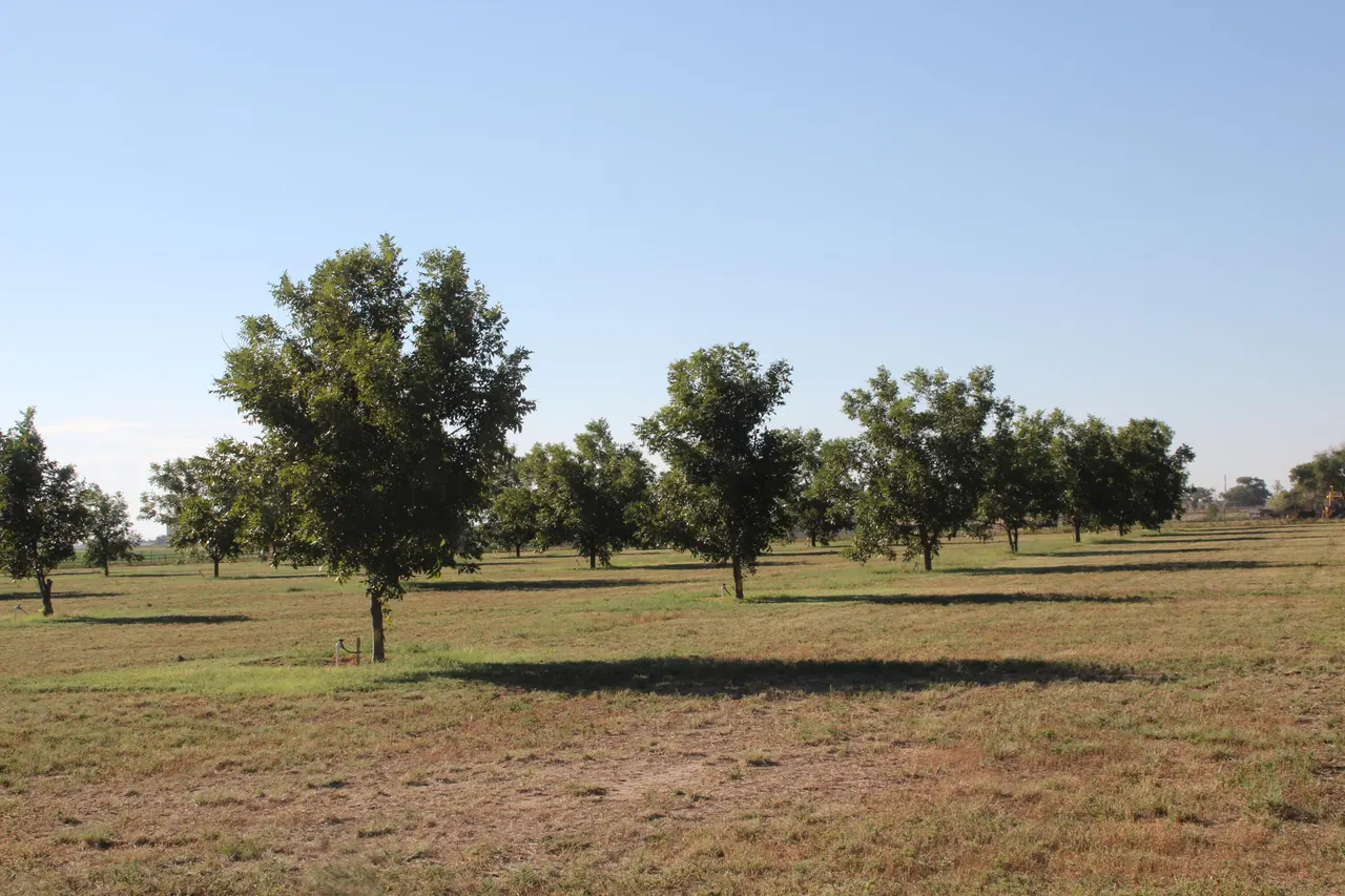 Front exterior — 602/608 E Joliet Street, Muleshoe, TX 79347
