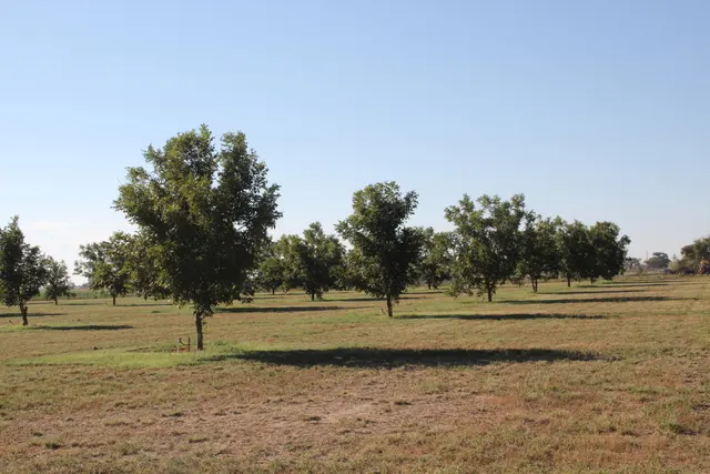 Front exterior — 602/608 E Joliet Street, Muleshoe, TX 79347