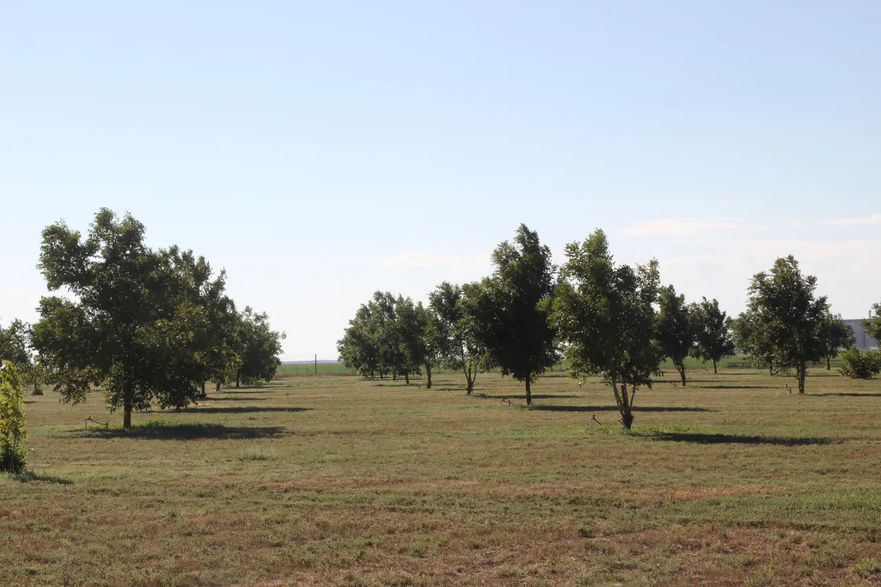 Photo 2 — 602/608 E Joliet Street, Muleshoe, TX 79347