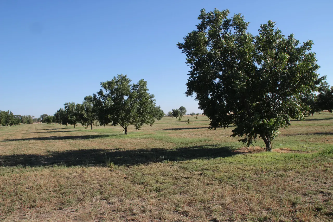Photo 4 — 602/608 E Joliet Street, Muleshoe, TX 79347