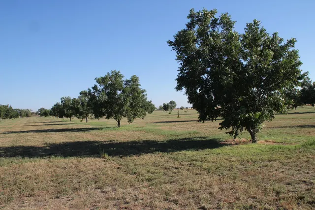Photo 4 — 602/608 E Joliet Street, Muleshoe, TX 79347