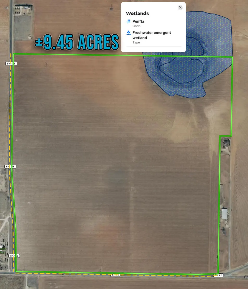 Photo 11 — FM 168, Ropesville, TX 79358