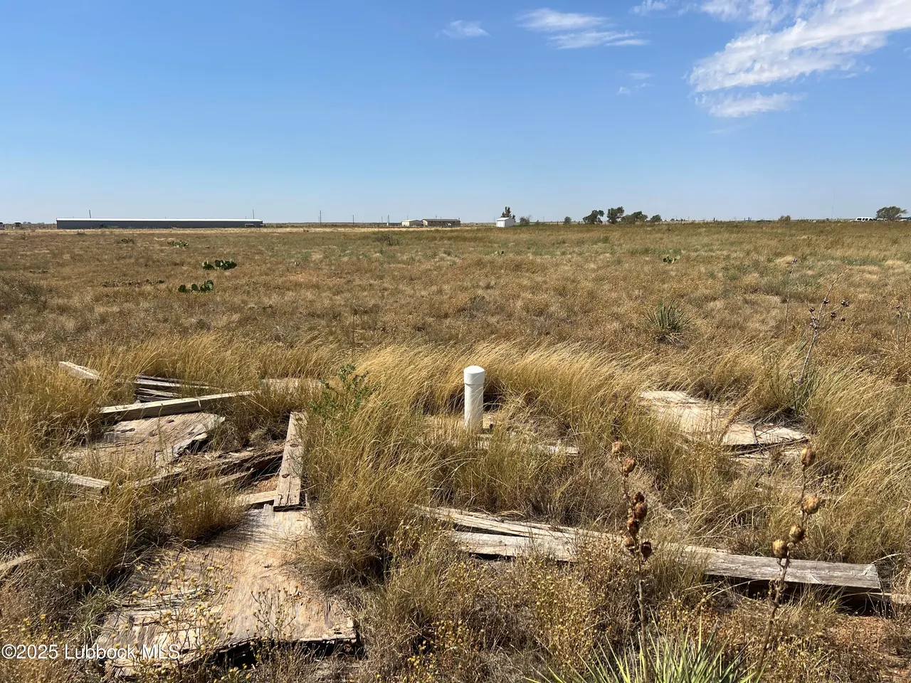 Photo 6 — Bear Road, Smyer, TX 79367