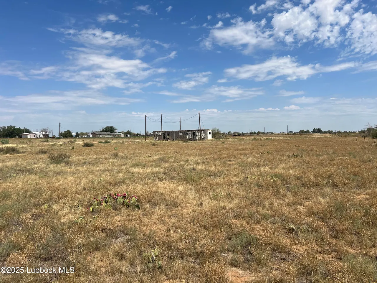 Photo 9 — Bear Road, Smyer, TX 79367