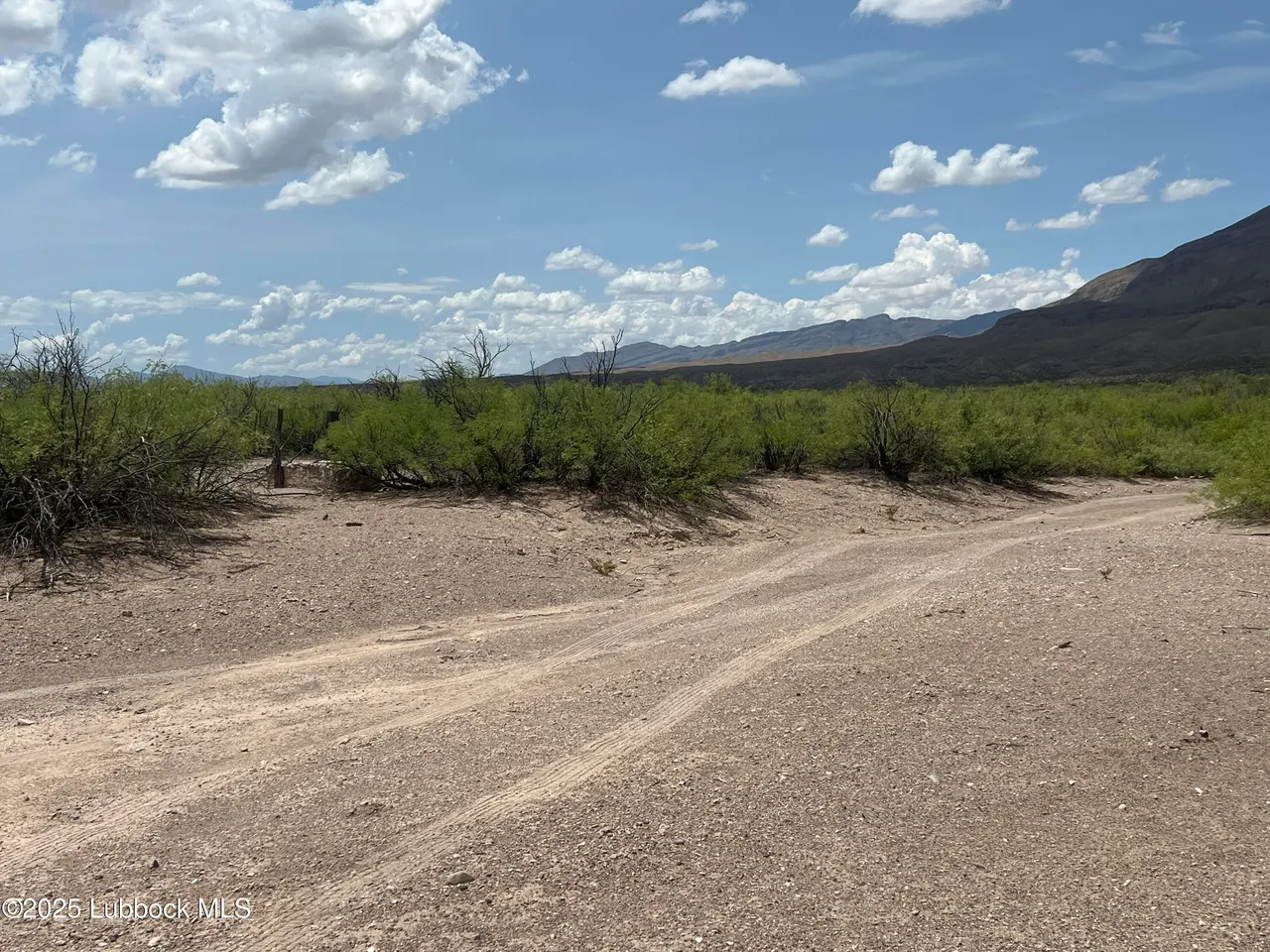 Photo 20 — Lots 1-10 Sec 65 Block 2 T&P Presidio County, Presidio, TX 79845