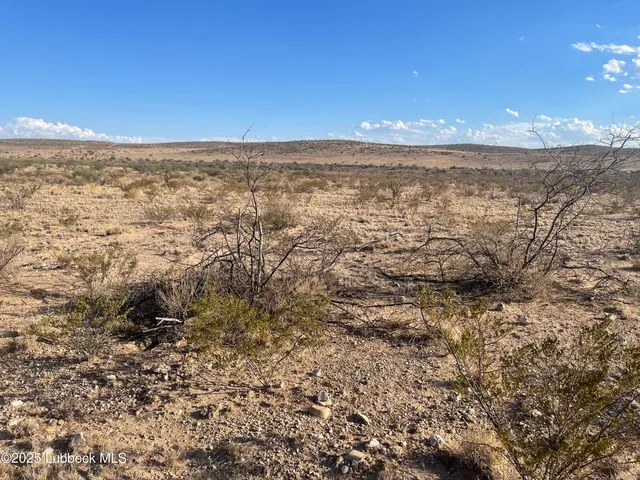 Photo 8 — Lots 11-24 Sec 65 Block 2 T&P Presidio County, Presidio, TX 79845