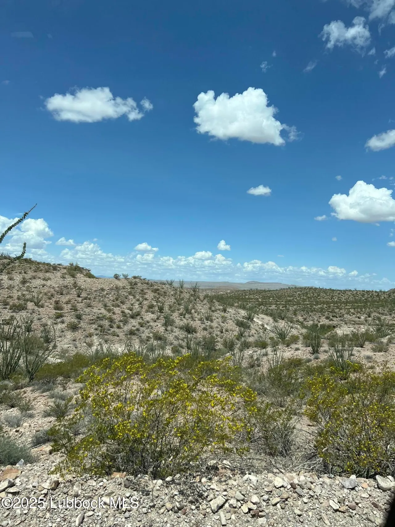 Photo 17 — Lots 11-24 Sec 65 Block 2 T&P Presidio County, Presidio, TX 79845