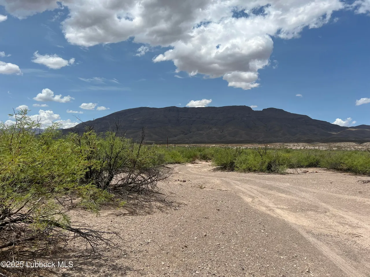 Photo 25 — Lots 11-24 Sec 65 Block 2 T&P Presidio County, Presidio, TX 79845