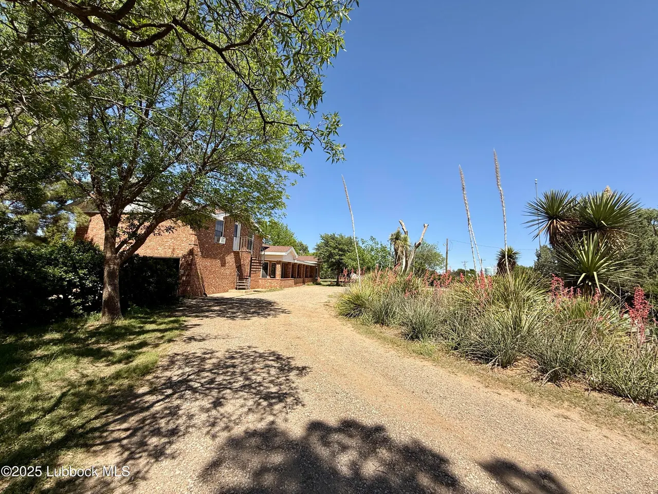 Photo 6 — 8014 County Rd 5840, Shallowater, TX 79363