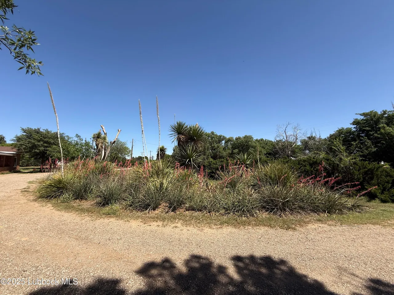 Photo 7 — 8014 County Rd 5840, Shallowater, TX 79363