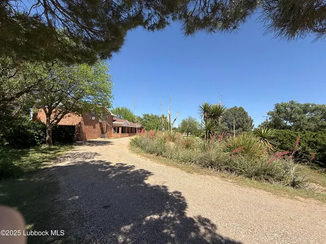 Photo 8 — 8014 County Rd 5840, Shallowater, TX 79363