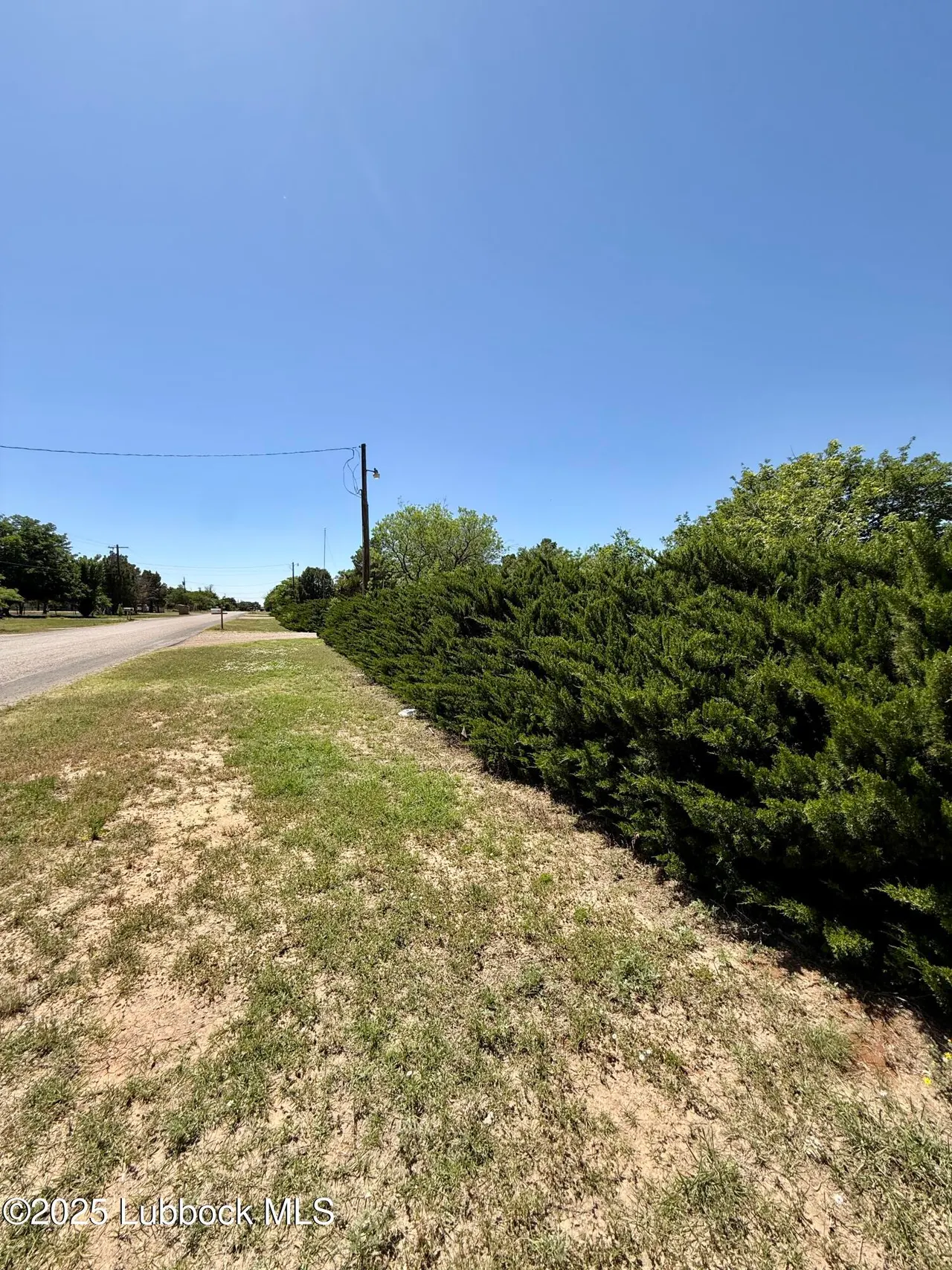 Photo 11 — 8014 County Rd 5840, Shallowater, TX 79363