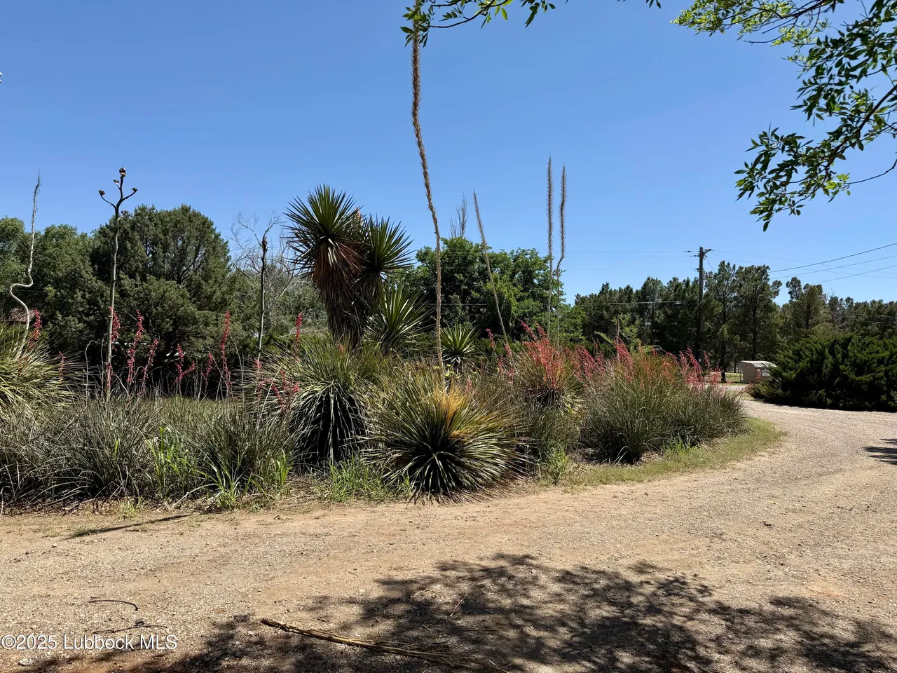 Photo 13 — 8014 County Rd 5840, Shallowater, TX 79363