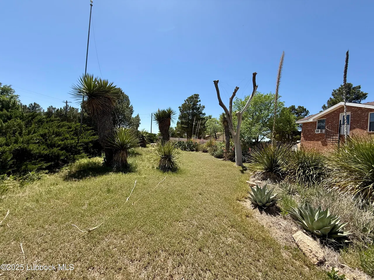 Photo 14 — 8014 County Rd 5840, Shallowater, TX 79363