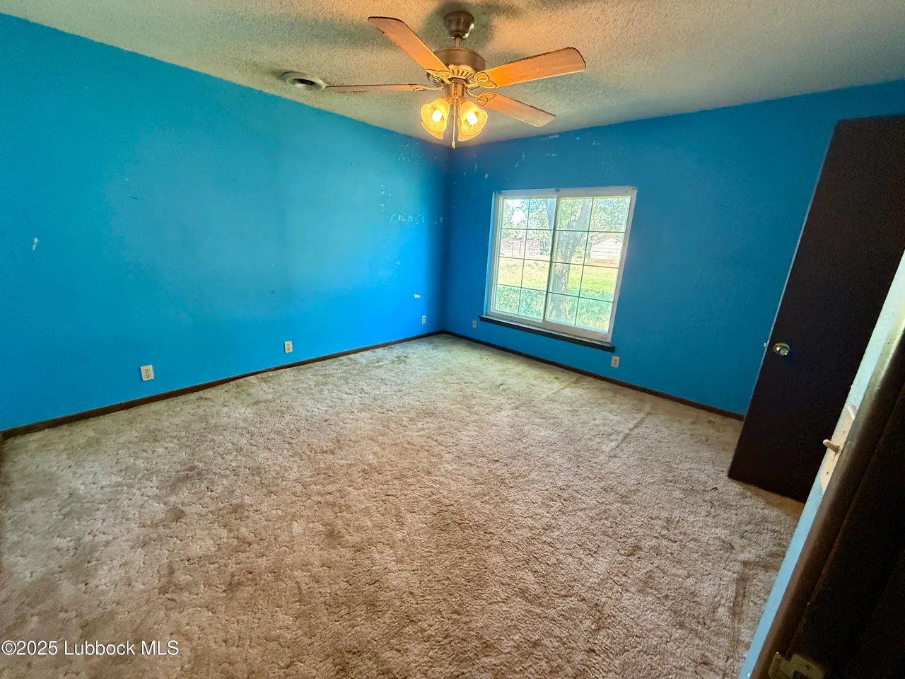 Photo 41 — 8014 County Rd 5840, Shallowater, TX 79363