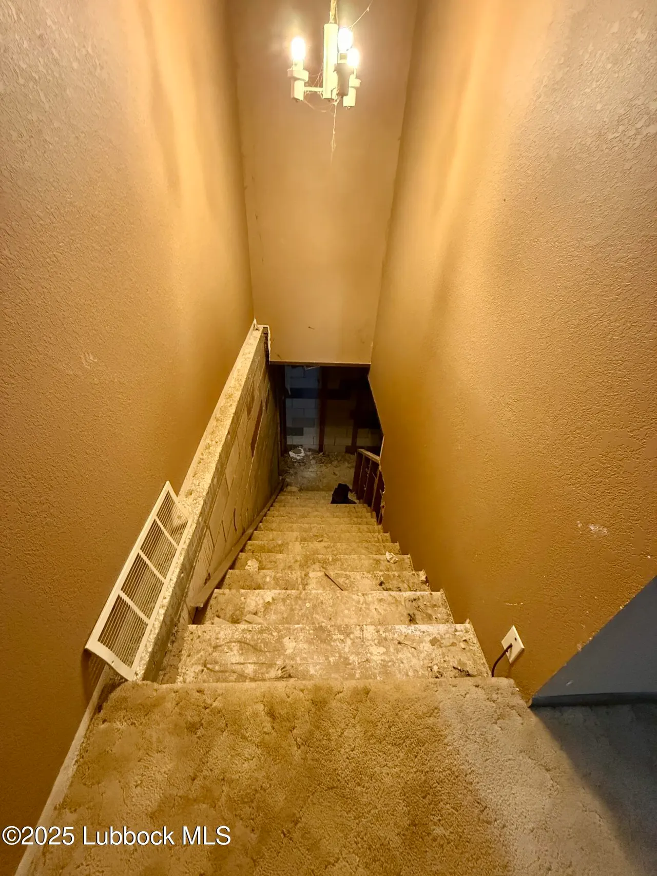Photo 46 — 8014 County Rd 5840, Shallowater, TX 79363