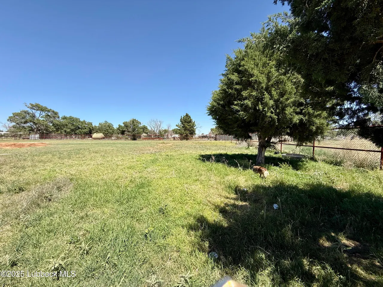 Photo 62 — 8014 County Rd 5840, Shallowater, TX 79363