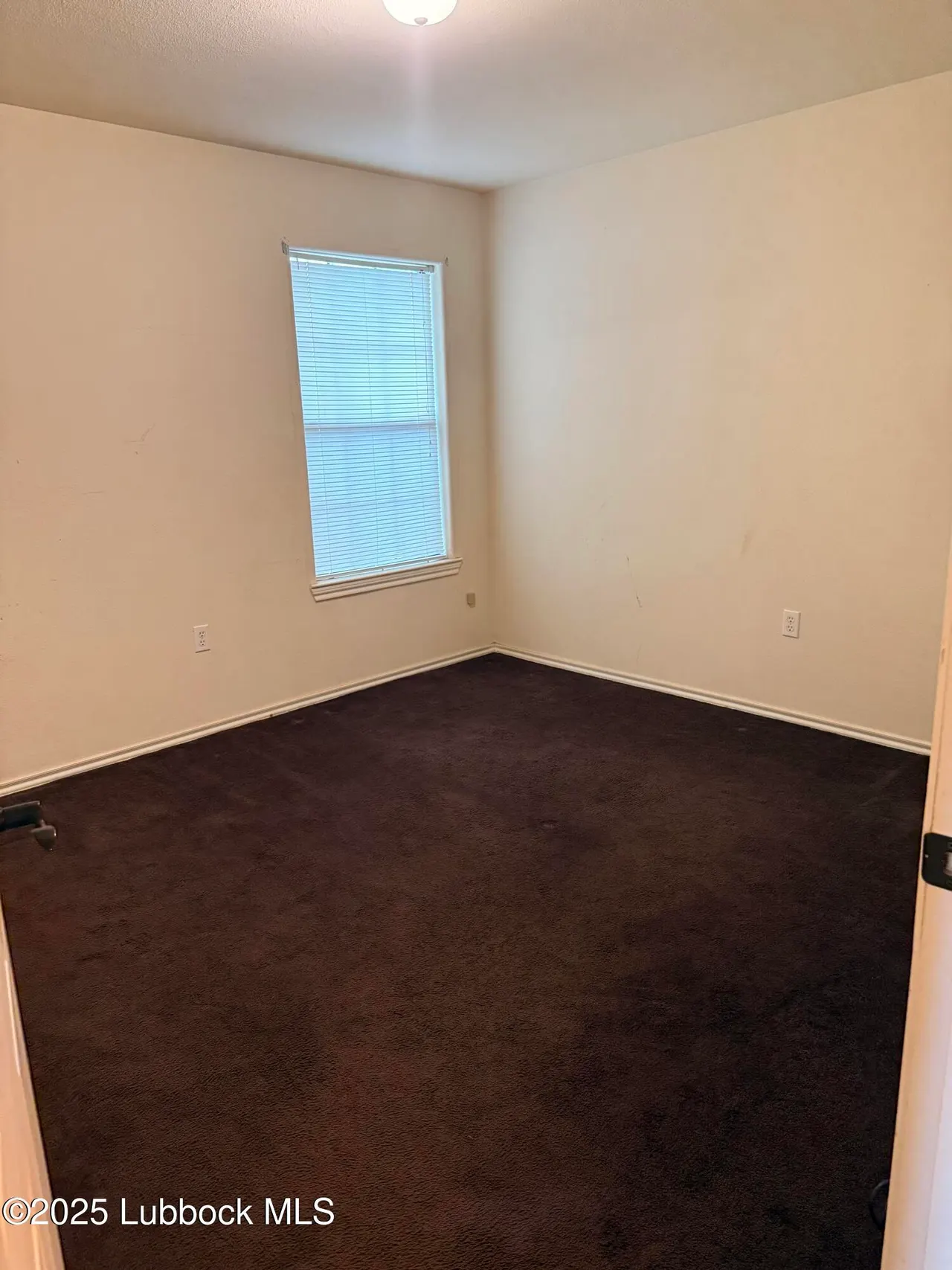 Photo 10 — 307 E 3rd Street, Muleshoe, TX 79347