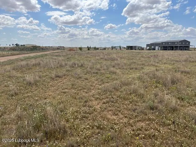 Photo 4 — 10412 Private Rd 5860, Shallowater, TX 79363