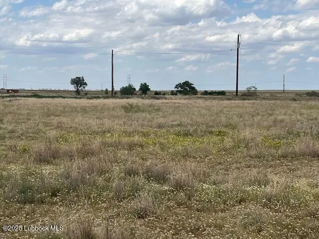 Photo 7 — 10412 Private Rd 5860, Shallowater, TX 79363