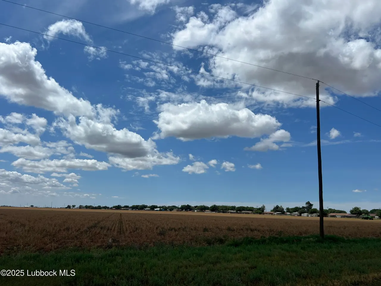 Photo 30 — 308 S Avenue F, Abernathy, TX 79311