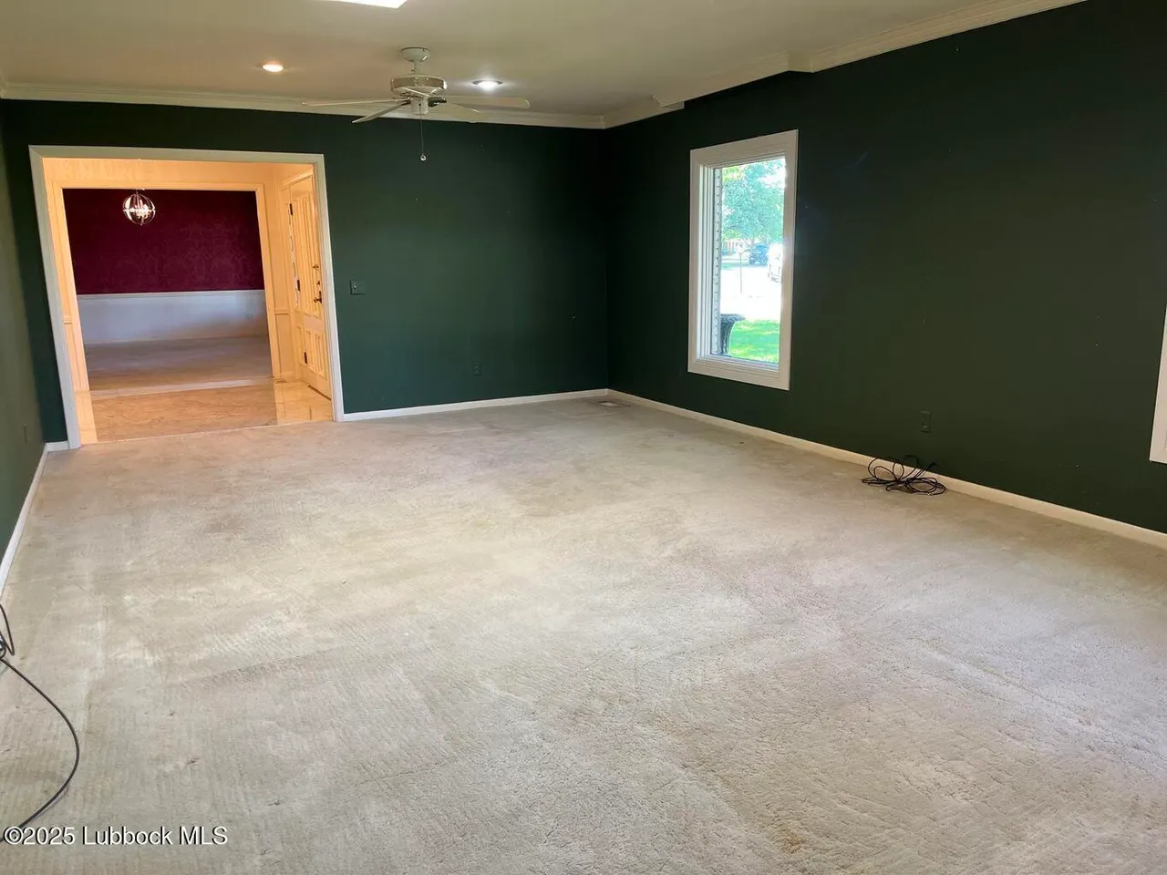 Photo 10 — 103 Yucca Terrace, Plainview, TX 79072
