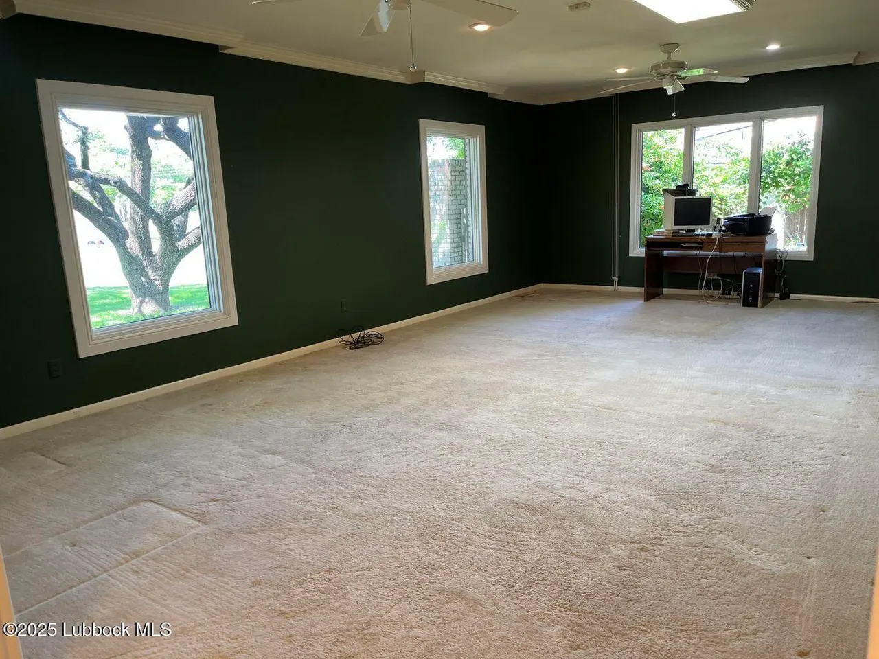 Photo 11 — 103 Yucca Terrace, Plainview, TX 79072